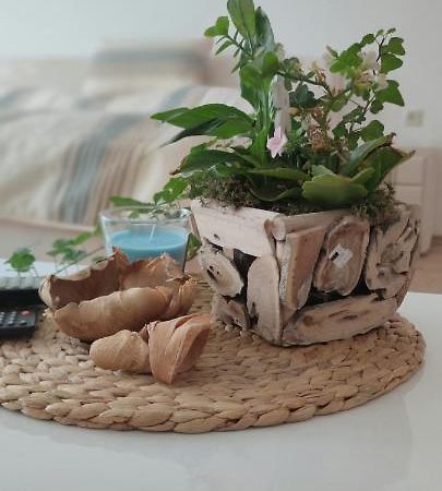 Ferienwohnung Schulzental الميناو المظهر الخارجي الصورة