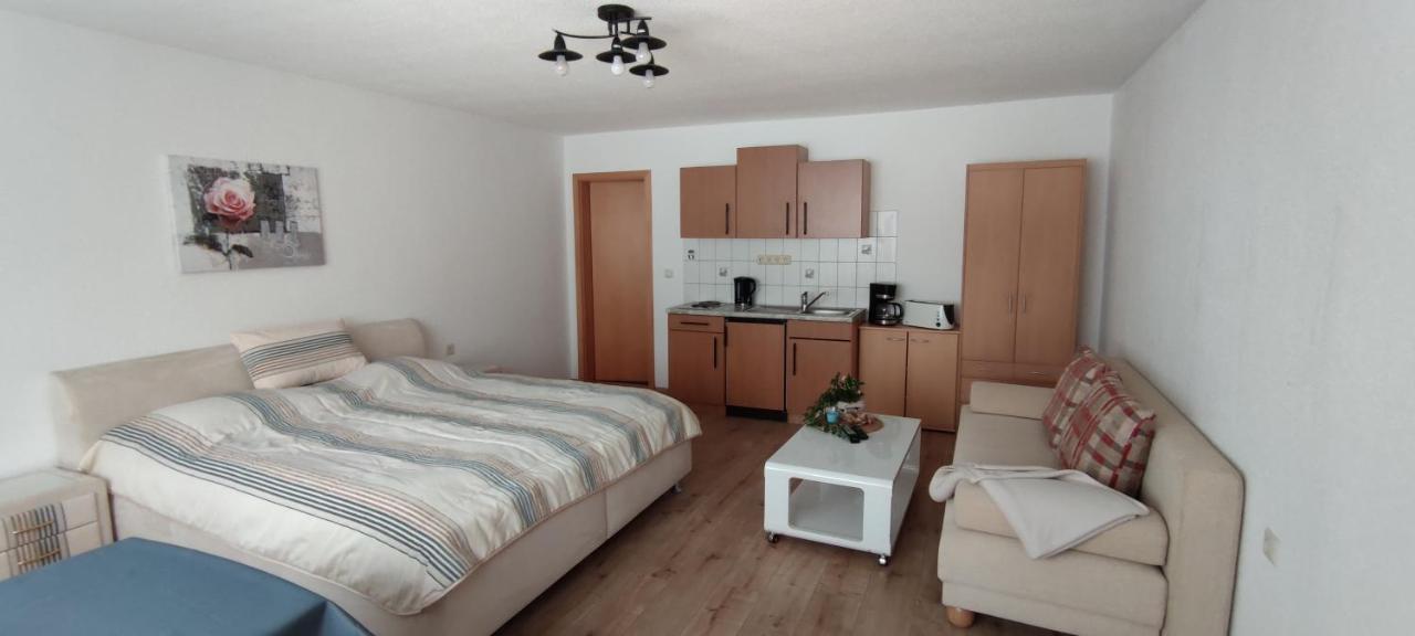 Ferienwohnung Schulzental الميناو المظهر الخارجي الصورة
