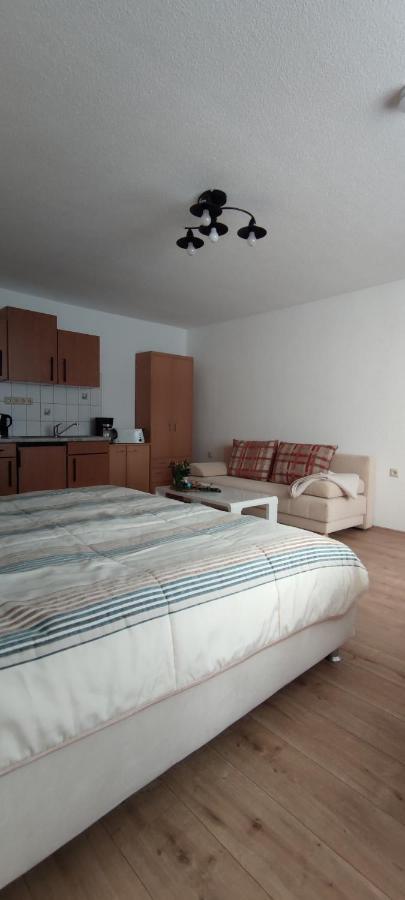 Ferienwohnung Schulzental الميناو المظهر الخارجي الصورة